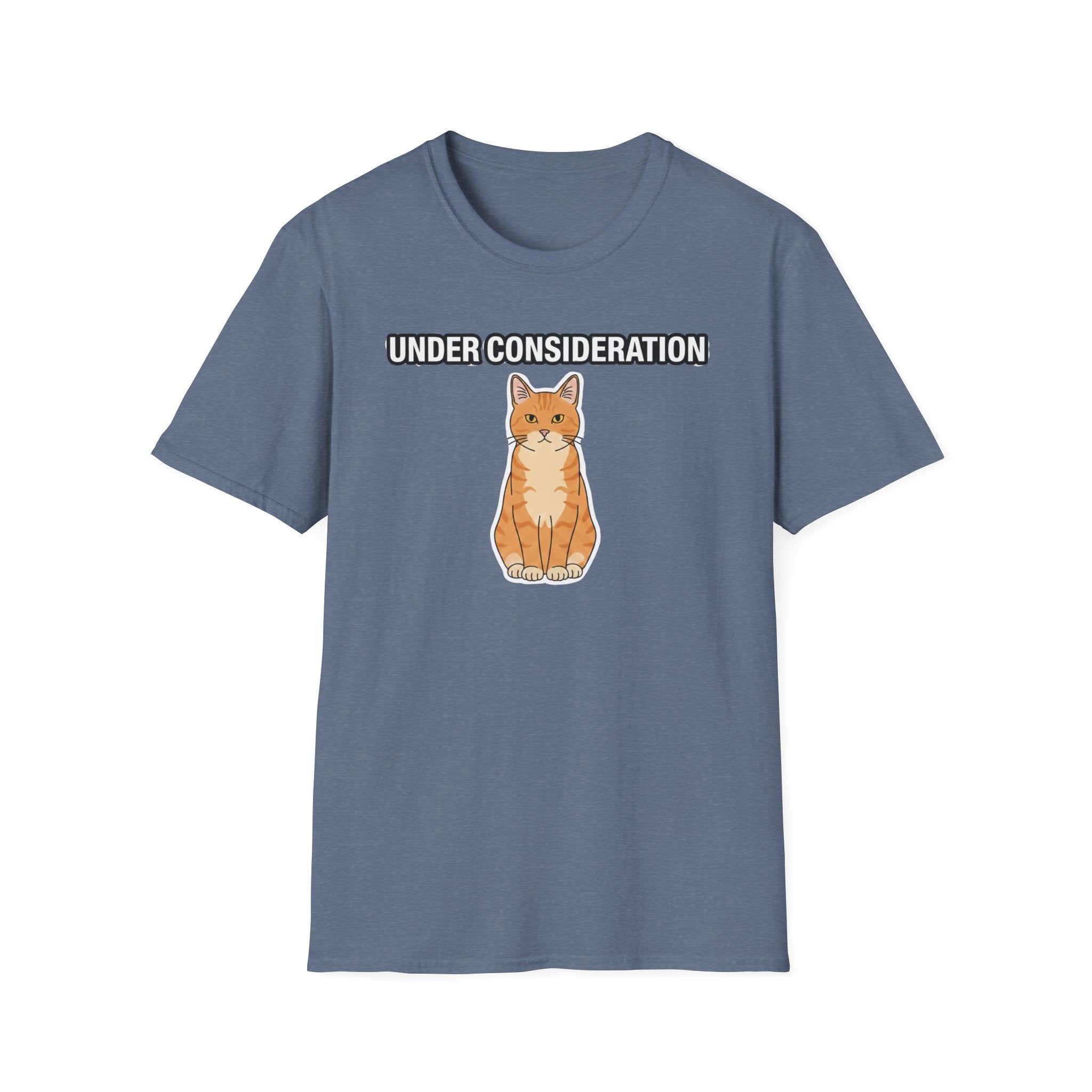 Under Consideration Cat T-Shirt