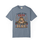 Land of the Free Home of the Hay Bunny Rabbit 4th of July T-Shirt — Patriotic Rabbit 4th of July Tee