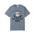 Financially Stable? No. Dog Spoiled? YES. T-Shirt