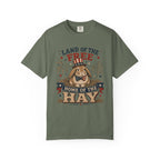 Land of the Free Home of the Hay Bunny Rabbit 4th of July T-Shirt — Patriotic Rabbit 4th of July Tee