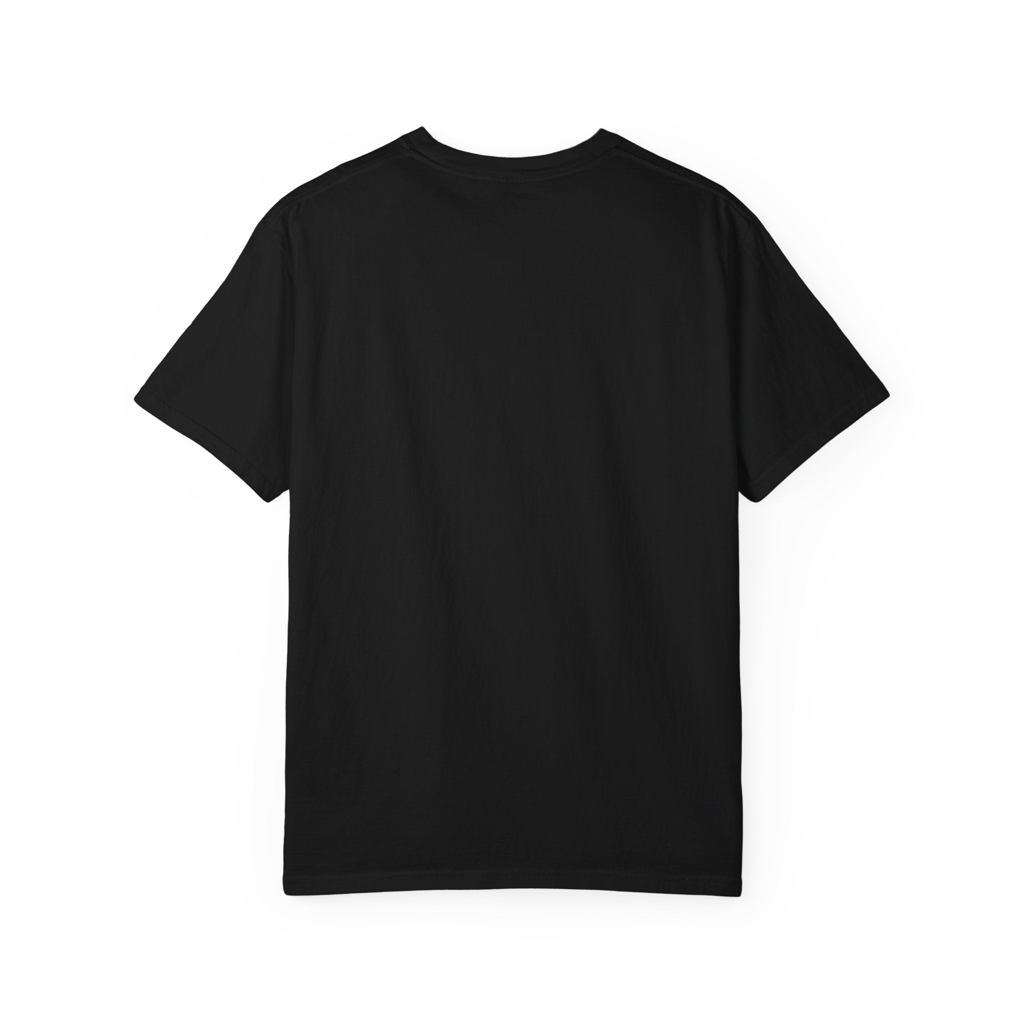 Patriotic Cat T-Shirt — “Patriotic? I Barely Tolerate This House”